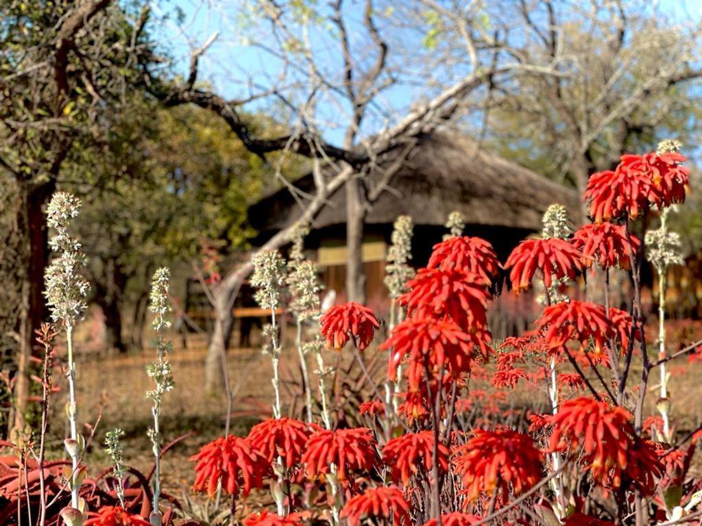 Shayamoya Tiger Fishing And Game Lodge Pongola Ngoại thất bức ảnh
